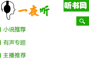 一夜听书